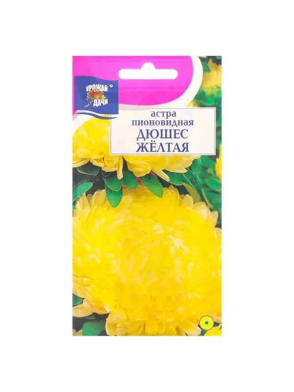 Набор семян Астра пионовидная "Дюшес", желтая, 5 шт.