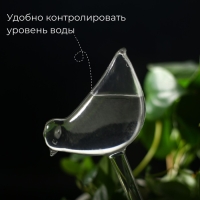 Автополив для комнатных растений, ПВХ, &laquo;Птичка&raquo;, 90 мл, Greengo