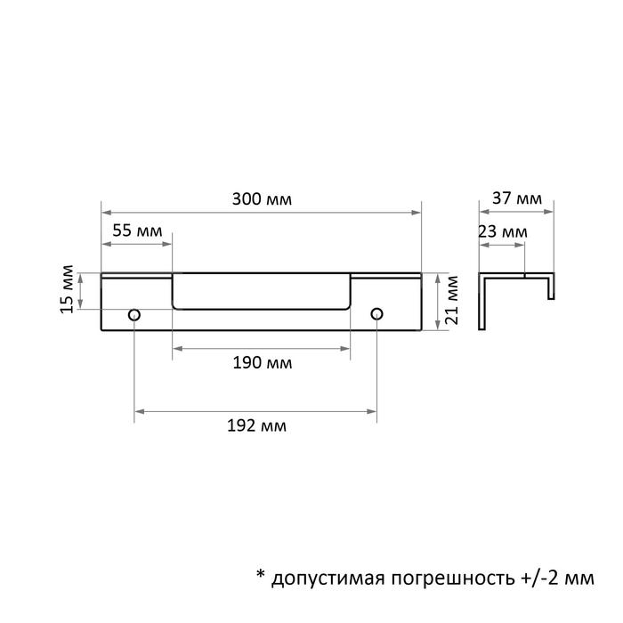 Ручка торцевая CAPPIO RP100GR, L=300 мм, цвет серый
