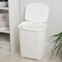 Корзина бельевая с крышкой &laquo;Ротанг&raquo;, 40 л, 37&times;29&times;48 см, цвет белый
