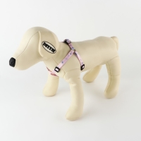 Комплект &laquo;Ласточки&raquo;, шлейка 24-36 см, поводок 120х1 см