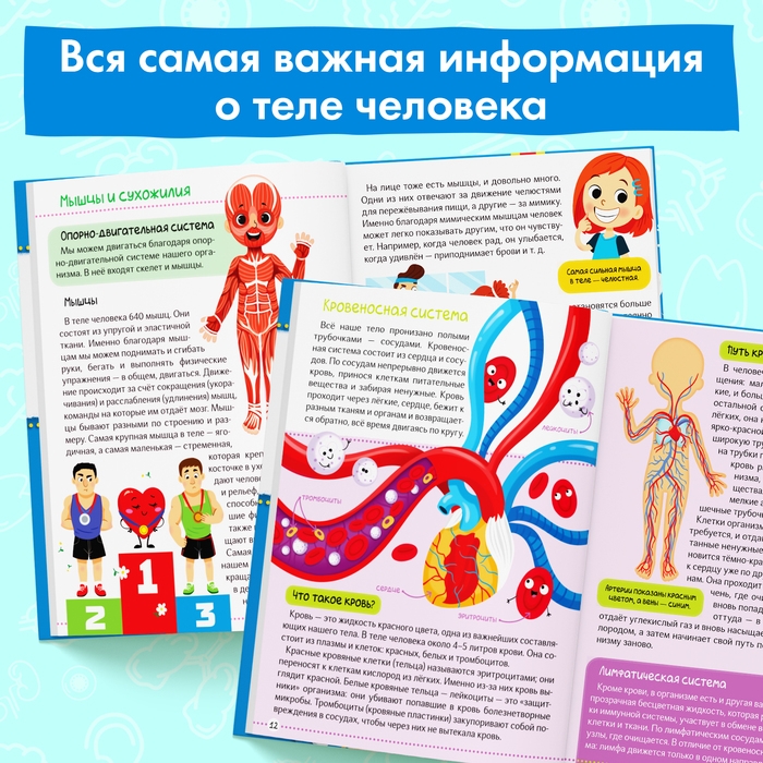 Энциклопедия в твёрдом переплёте &laquo;Тело человека&raquo;, 48 стр.