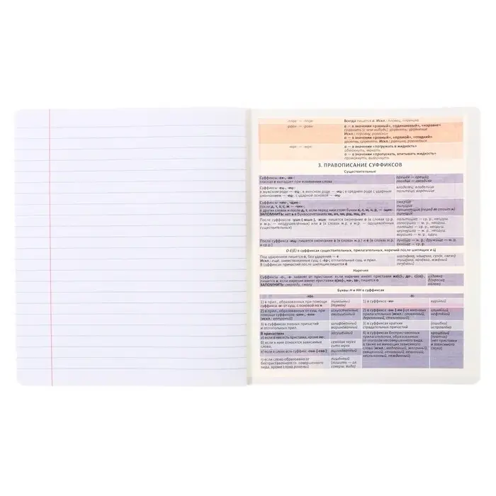 Тетрадь предметная &laquo;Русский язык&raquo;, 36 листов в клетку, ErichKrause Timeline