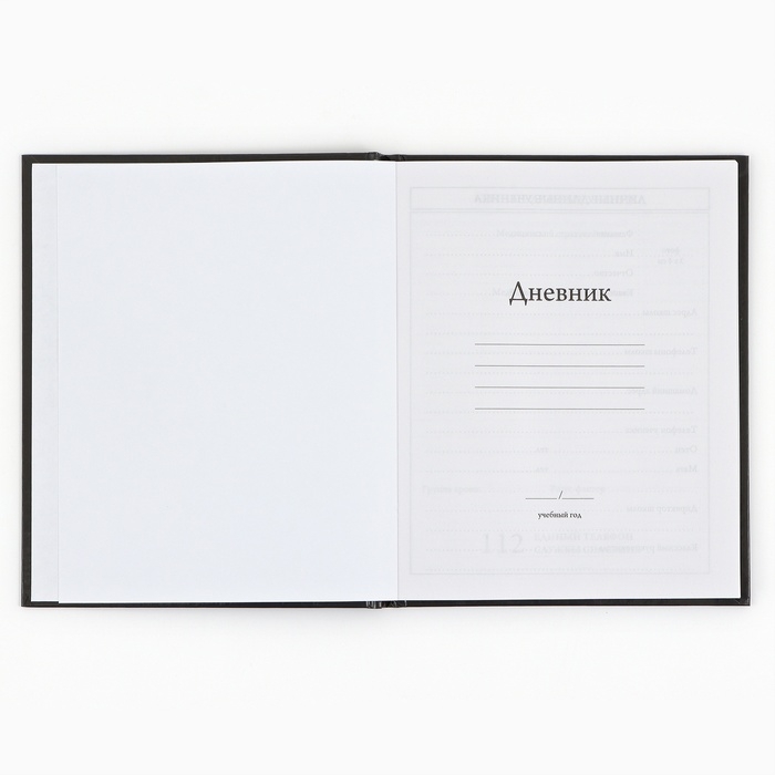 Дневник школьный 1-4 класса, в твердой обложке, 48 л &laquo;Аниме комикс&raquo;