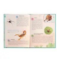 Ээнциклопедия "Животные"