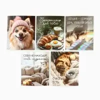 Набор мини-открыток в коробке со скрепками &laquo;Котики&raquo;, 35 штук, 8 x 10 см