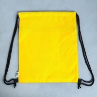 Мешок для обуви &laquo;Забавный корги&raquo; 2 секции, 30&times;40 см