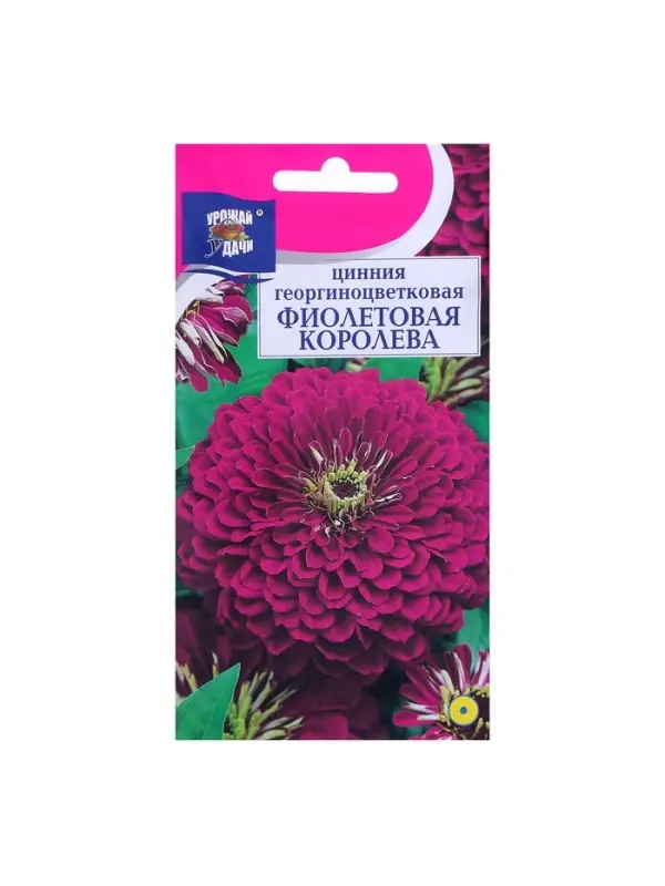 Набор семян Цинния георгин. "Фиолетовая королева", 5 шт.