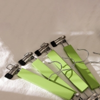 Вешалки для брюк и юбок LaDо́m Brillant, 28&times;12&times;2,3 см, 2 шт, деревянные, с зажимами, цвет фисташковый