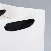 Пакет подарочный под бутылку, упаковка, &laquo;Present&raquo;, 13 х 32 х 11,3 см