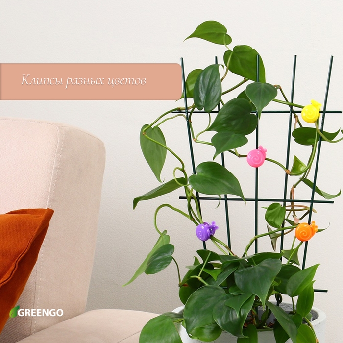Клипса для растений &laquo;Улитка&raquo;, набор 10 шт., МИКС, Greengo