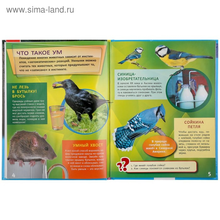 Энциклопедия А4 &laquo;Самые умные животные&raquo;