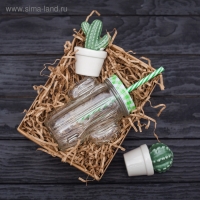 Кружка стеклянная с крышкой и трубочкой Доляна &laquo;Кактус&raquo;, 450 мл, 11&times;7&times;15 см