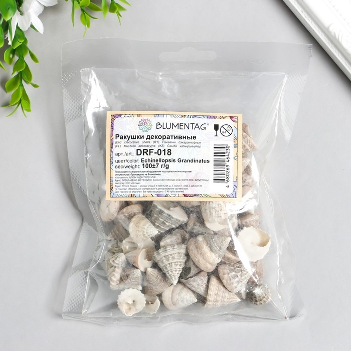 Ракушки декоративные "Zlatka" 100 г &plusmn; 7 г , 2.5 см