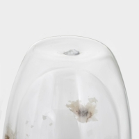 Набор стаканов с двойными стенками &laquo;Сухоцвет&raquo;, 350 мл, 9,5х11,5 см, 2 шт