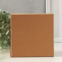 Сувенир полистоун "Дедуля играет на гитаре для бабули" 12х9х12 см