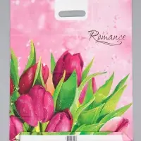 Пакет "Romance, полиэтиленовый с вырубной ручкой проруб. 41х51х4 80 мкм