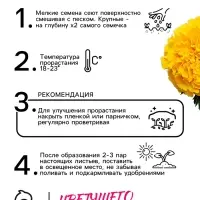 Семена цветов Бархатцы прямостоячие "Лимонное чудо", 0,3 г