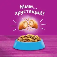 Сухой корм Whiskas для кошек, лосось, подушечки, 1,3 кг