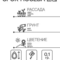 Семена цветов Незабудка "Голубые глазки", Мн, 0,1 г