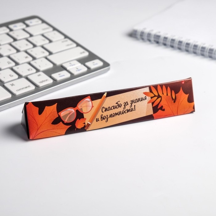 Ручка шариковая в подарочном футляре, металл, синяя паста, 1.0 мм &laquo;С днем учителя&raquo;