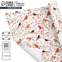 Упаковочная бумага на новый год &laquo;Птицы на ветвях&raquo;, 50 х 70 см, глянцевая