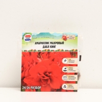 Амариллис Махровый Double King, многолетник, луковица, р-р 24/26, 1 шт.