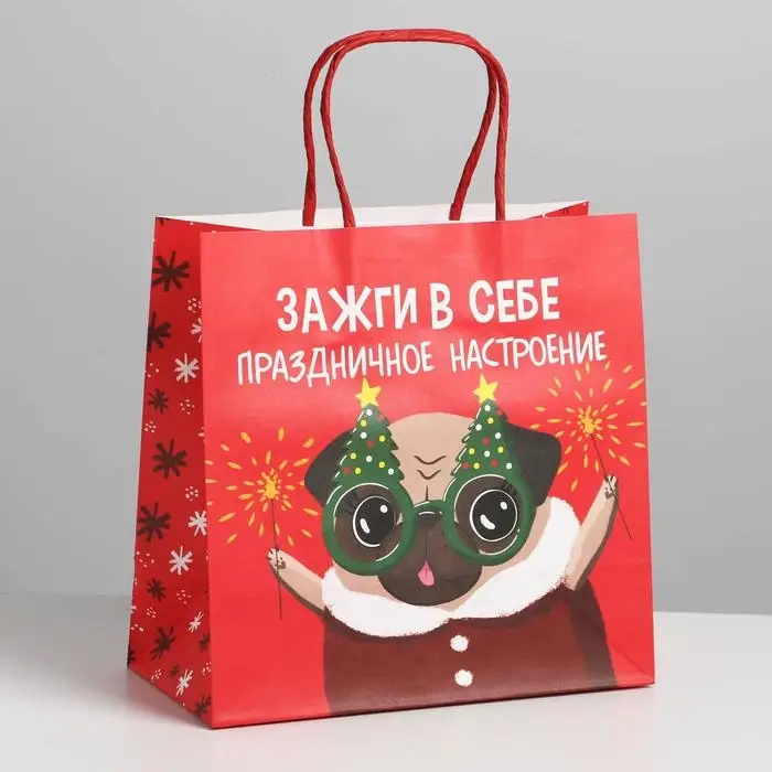 Пакет подарочный новогодний &laquo;Зажги в себе&raquo;, 22 х 22 х 11 см