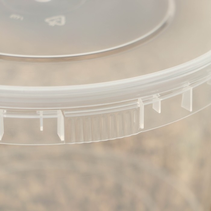 Ведро пластиковое одноразовое с крышкой &laquo;Для солений&raquo;, 2 л, d=17,3 см, прозрачное, 100 шт/уп