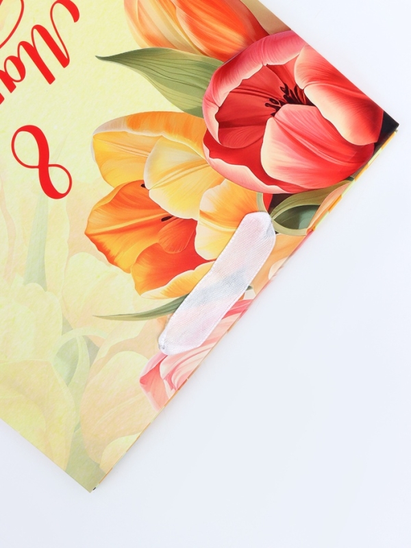 Пакет подарочный вертикальный &laquo;Яркий момент&raquo;, MS 18 х 23 х10 см