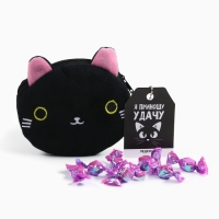 Леденцы &laquo;Приношу удачу&raquo; в кошельке, со вкусом винограда, 40 г.