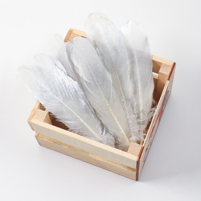 Перья для декора, серебро полная окраска , 13-15 см 10 шт