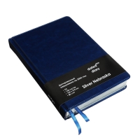 Ежедневник датированный 2025 года, A5, 168 листов в линейку, кожзам "Небраска", серебряный срез, синий