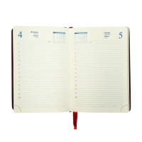 Ежедневник датированный 2025 года, A5, 168 листов в линейку, кожзам "Небраска", золотой срез, бордовый