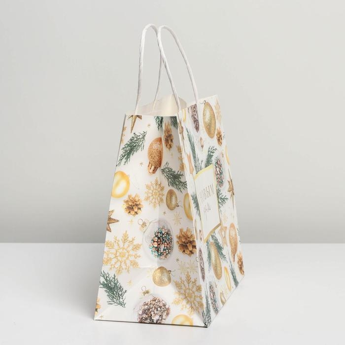 Пакет подарочный новогодний крафтовый &laquo;Сказочный праздник&raquo;, 25 х 22 х 12 см, Новый год