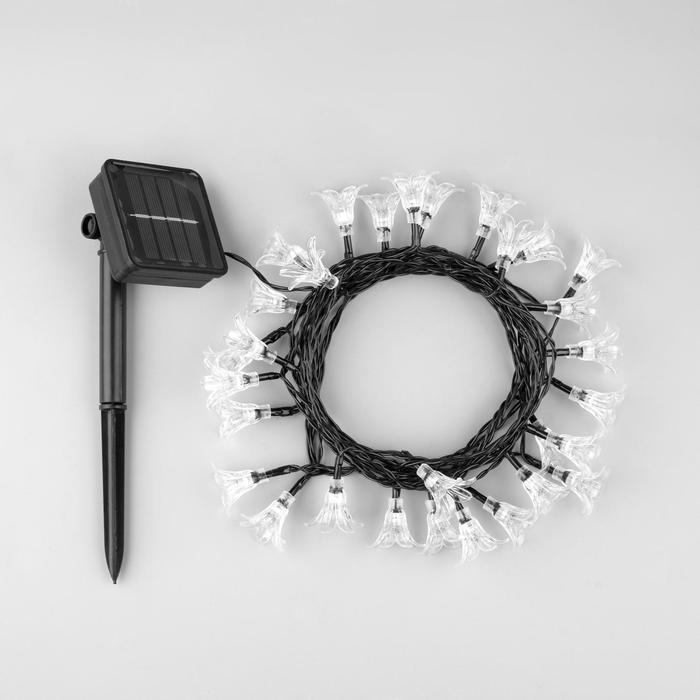 Гирлянда &laquo;Нить&raquo; 4.5 м с насадками &laquo;Цветы&raquo;, IP44, тёмная нить, 30 LED, свечение мульти, 2 режима, солнечная батарея