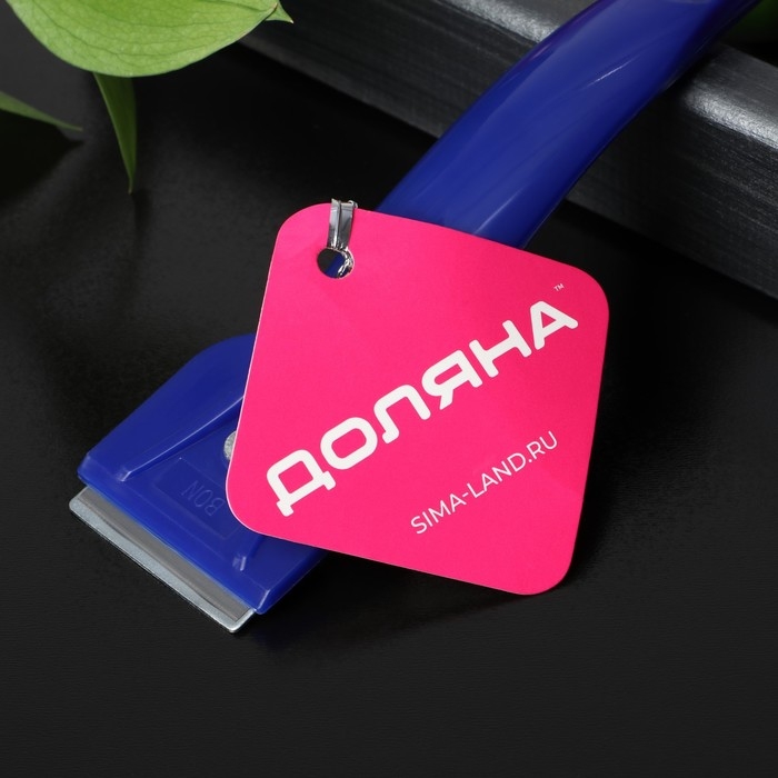 Скребок для стеклокерамики Доляна &laquo;Базис&raquo;, 16 см, цвет МИКС