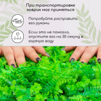 Декоративная панель, 60 &times; 40 см, &laquo;Самшит, Папоротник&raquo;, Greengo