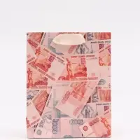 Пакет подарочный &laquo;Деньги&raquo;, S 12 &times; 15 &times; 5,5 см