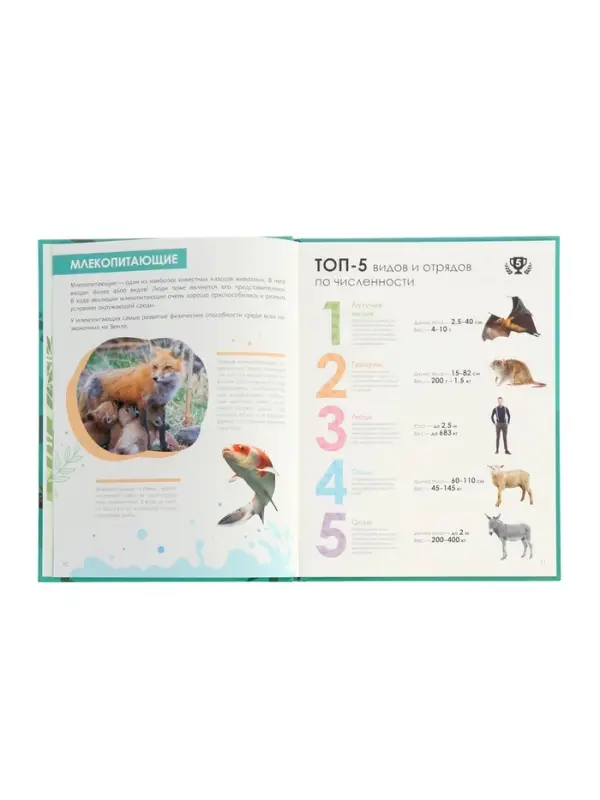 Ээнциклопедия "Животные"
