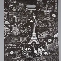 Пакет "Париж, полиэтиленовый с вырубной ручкой 50х60 см, 100 мкм