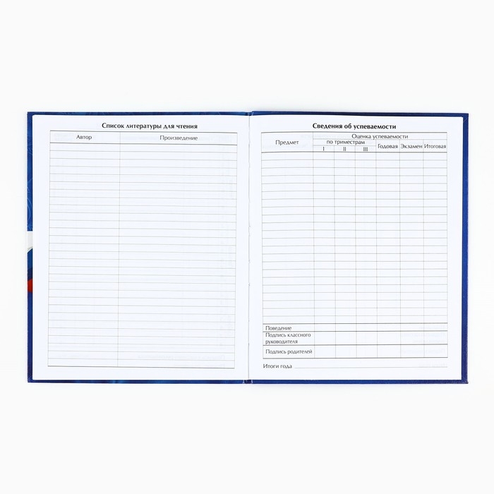 Дневник школьный для 1-11 класса, в интегральной обложке, 40 л. &laquo;Россия. Синий&raquo;