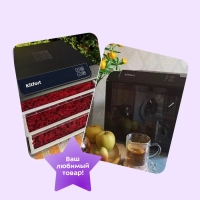 Дегидратор для овощей фруктов пастилы КТ-1905 - 500 Вт