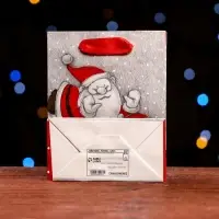 Пакет ламинированный &laquo;Мороз и Снеговик&raquo; 11.5&times;14.5&times;6 см