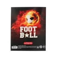 Тетрадь предметная 48 листов в линейку Calligrata, &laquo;Футбол. Литература&raquo;, обложка мелованный картон