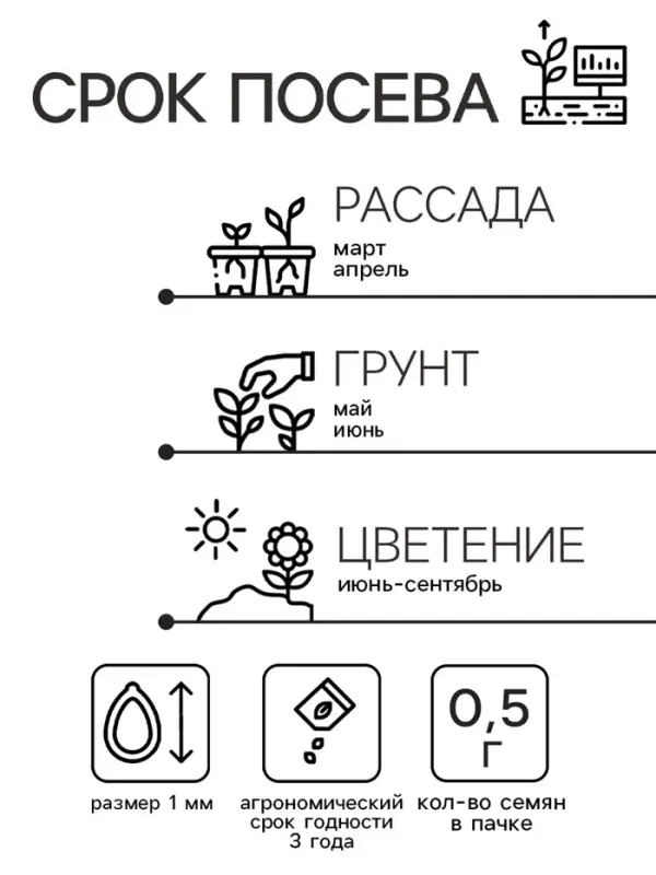 Семена цветов Душистый горошек "Шоколадный крем", 0,5 г