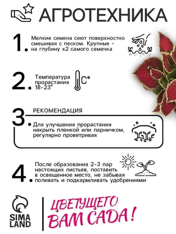 Семена цветов Колеус блюме "Райнбоу" смесь сортов, ц/п, 0,05 г