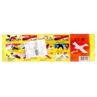 Самолёт &laquo;Птица&raquo;