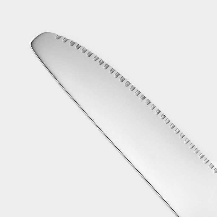 Нож столовый из нержавеющей стали &laquo;Хоккайдо&raquo;, длина 23 см, цвет серебряный