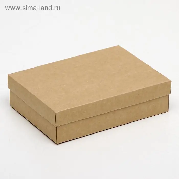 Коробка картонная без окна, крафт, 21 х 15 х 5 см